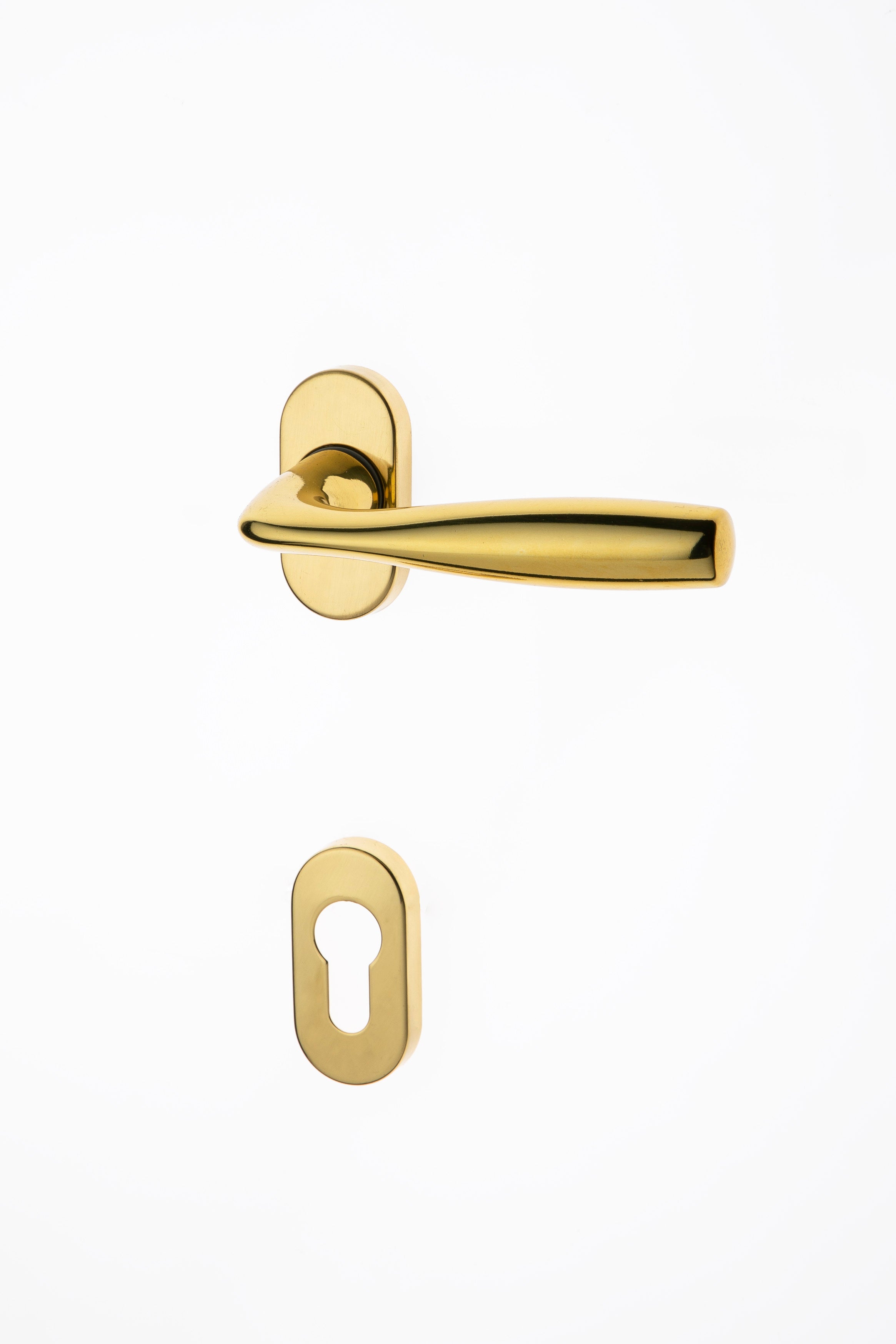 GHIDINI - Shark quadro da 8mm rbyoc s/m GCTOL